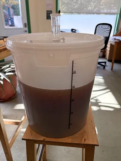 Le moût dans le fermenteur avec son barboteur, environ 21 L.