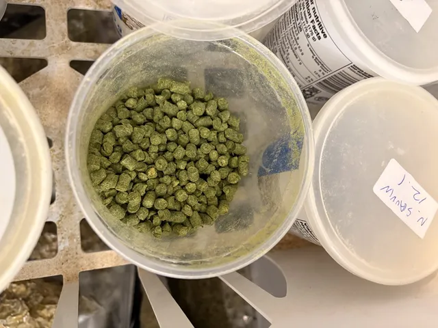 Houblon en granules